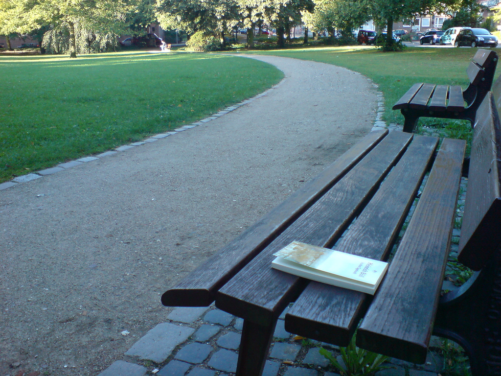 Auf dem Bild ist ein Buch auf einer Park-bank zu sehen