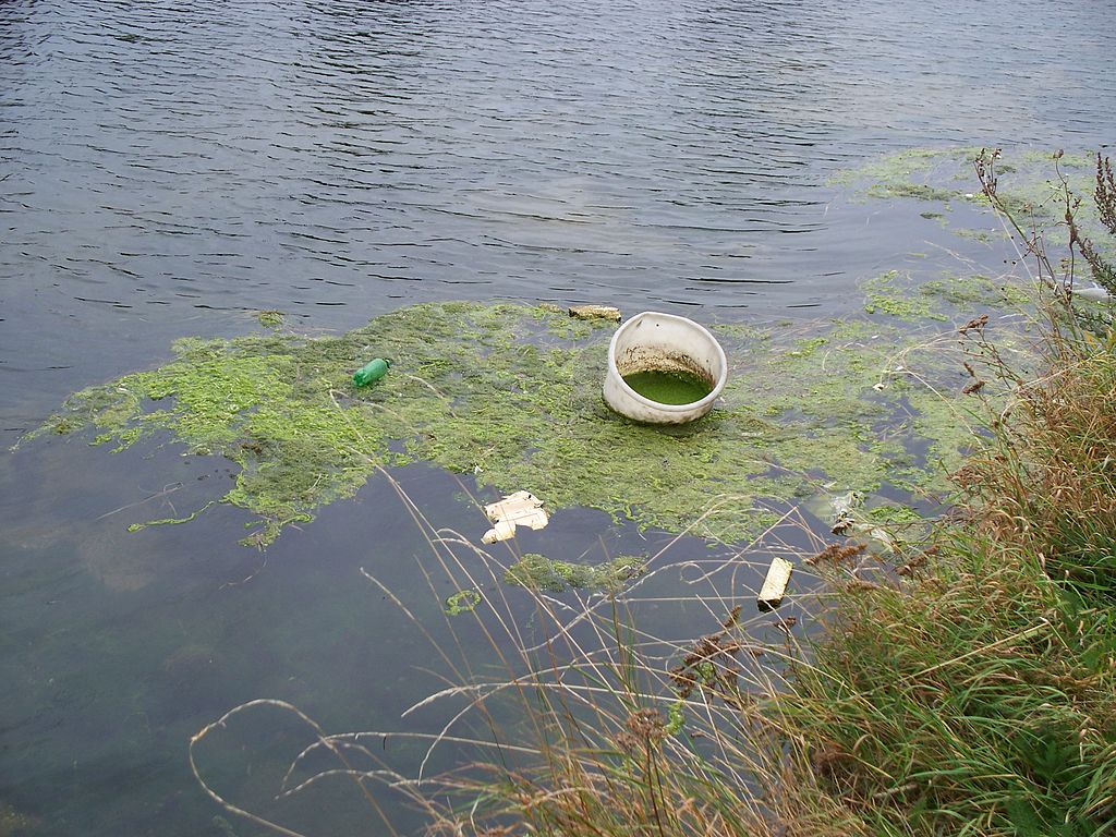 Auf dem Bild ist Müll in einem Fluß zu sehen