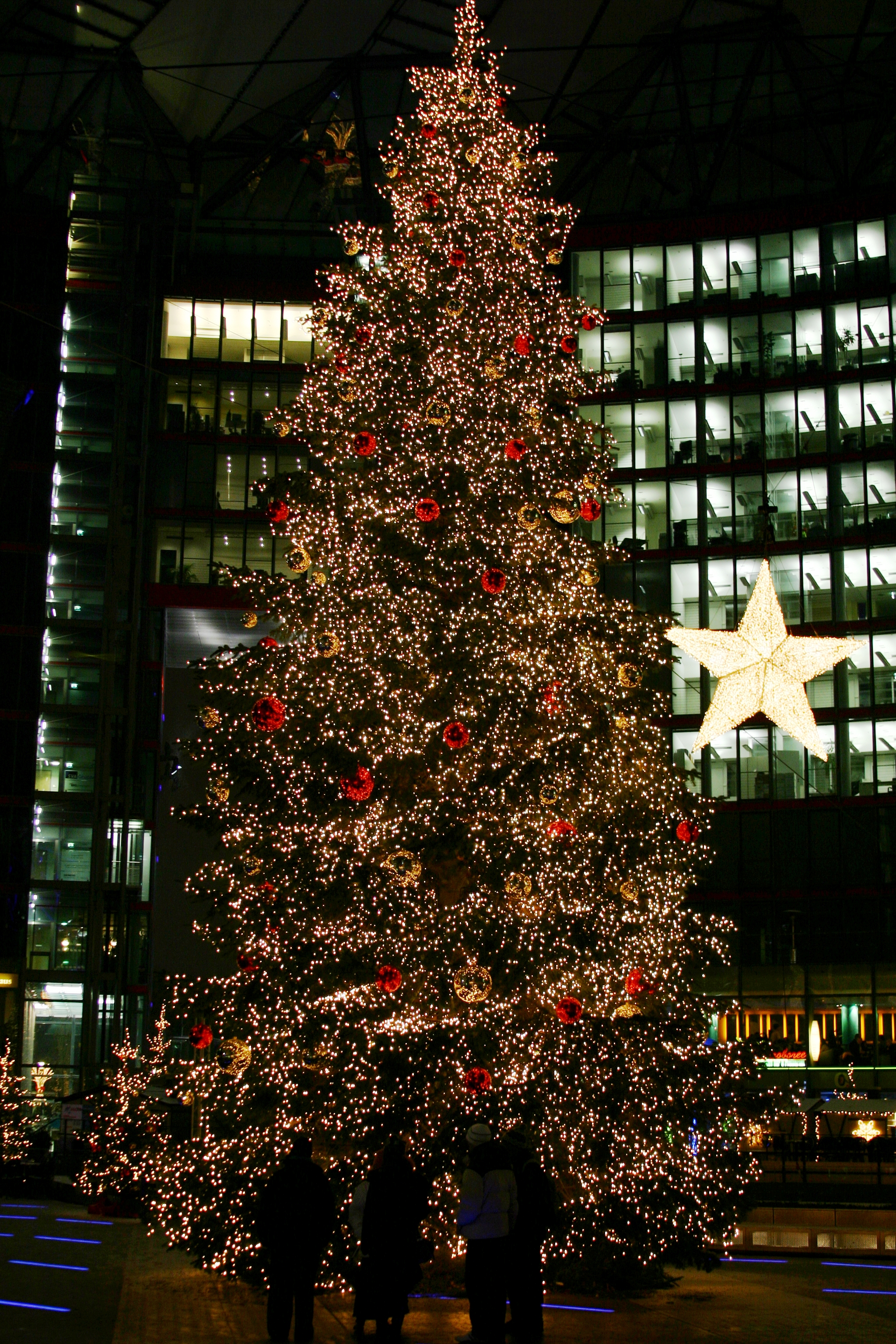 Weihnachtsbaum – Hurraki - Wörterbuch für Leichte Sprache