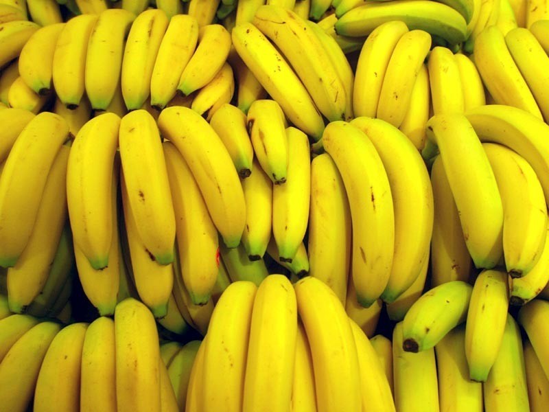 Auf dem Bild sind Bananen zu sehen
