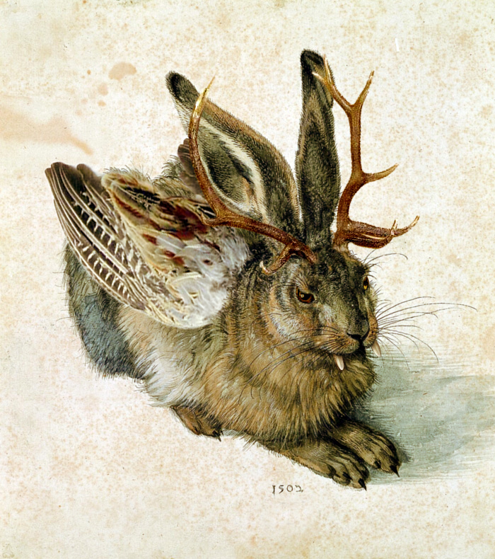 Auf dem Bild ist ein Wolpertinger. Er sieht aus wie ein Hase. An dem Hasen sind Flügel dran. Am Kopf sind Hörner. Und der Hase hat lange Zähne. Das Bild hat Albrecht Dürer gemalt