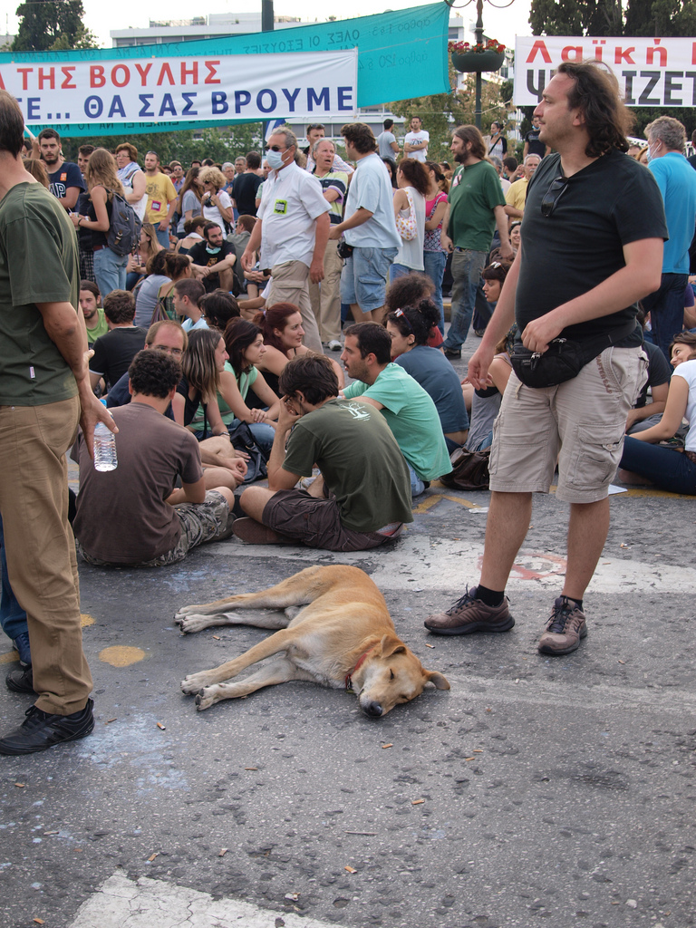 Datei:Loukanikos mit Demonstranten.jpg