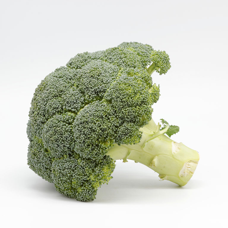 Auf dem Bild ist Broccoli zu sehen