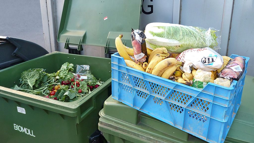 Auf dem Bild ist Essen aus einer Müll·tonne zu sehen