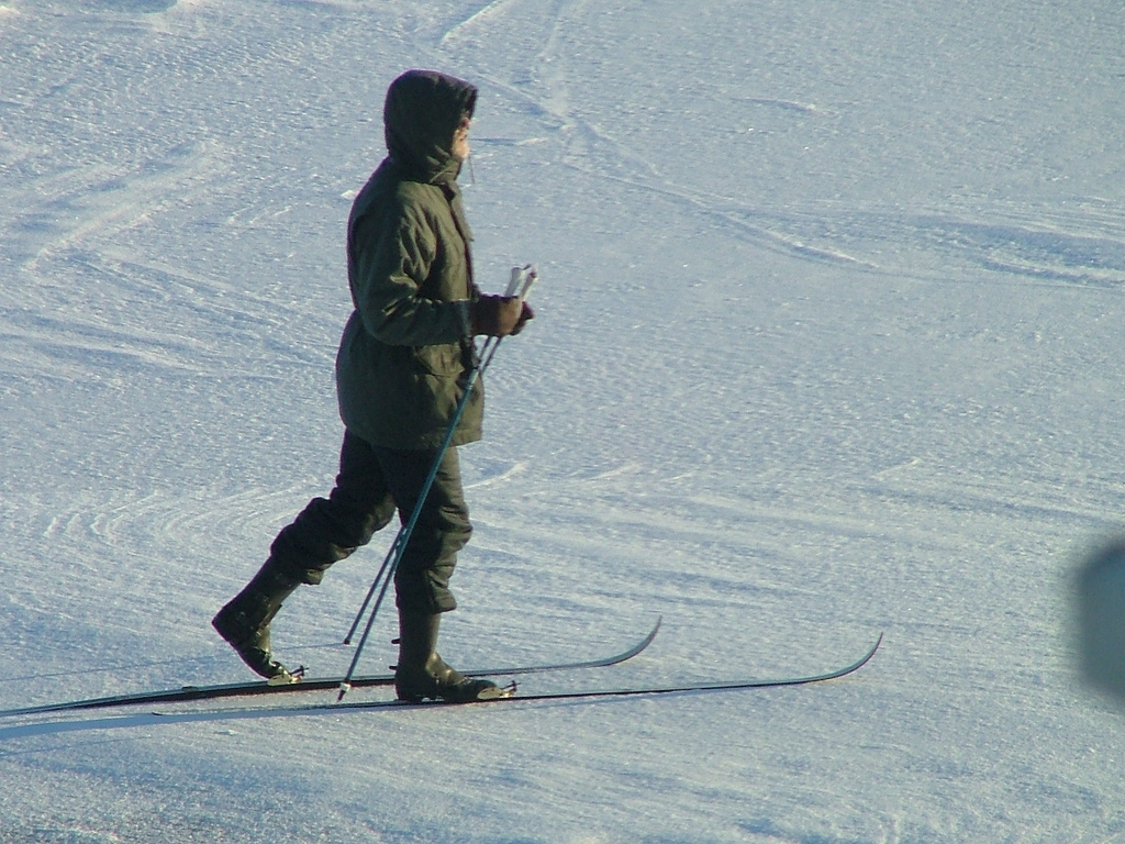 Auf dem Bild ist ein Skilangläufer zu sehen