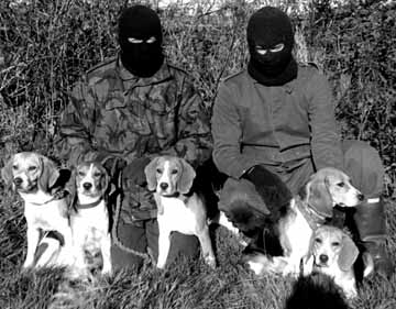 Auf dem Bild sind 2 Menschen und 5 Beagle Hunde zu sehen. Die Menschen haben Sturmmasken an. Das ist ein Bild der Animal Liberation Front. Hier haben Sie Hunde aus einem Versuchslabor befreit.