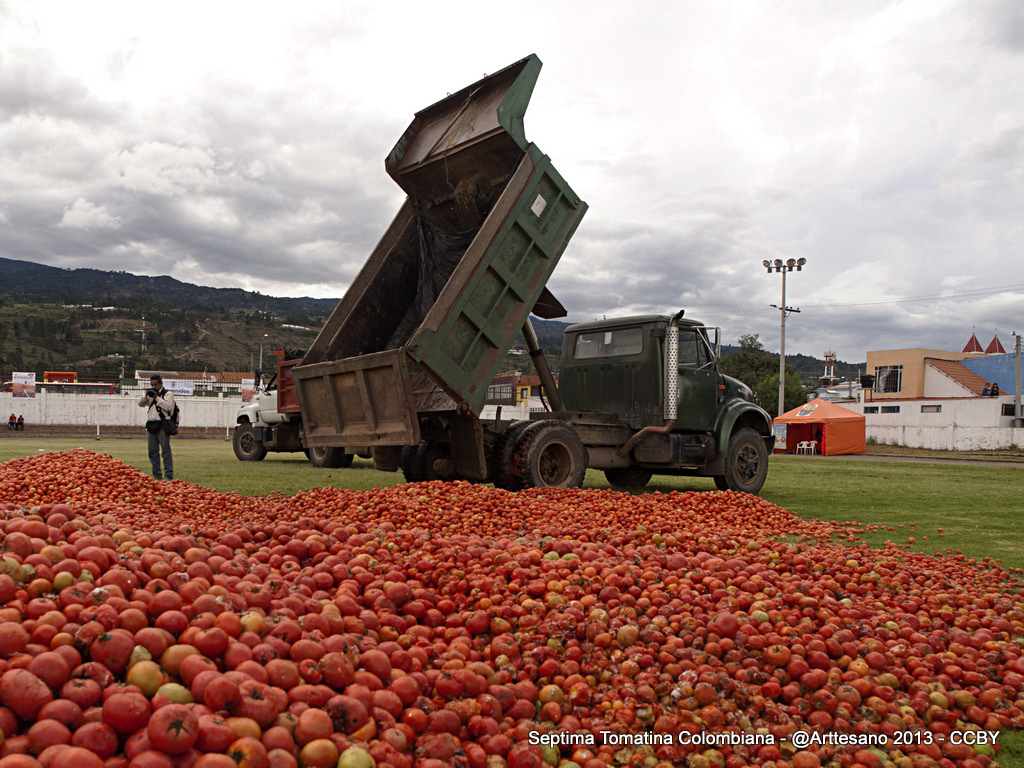 Auf dem Bild ist ein Lastwagen und viele Tomaten zu sehen